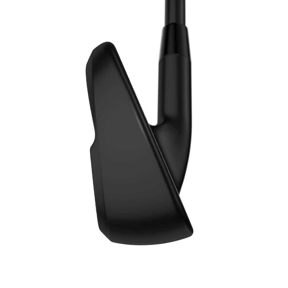 Callaway Apex Ai300 Black Shadow Forged Iron Set - 25 Men